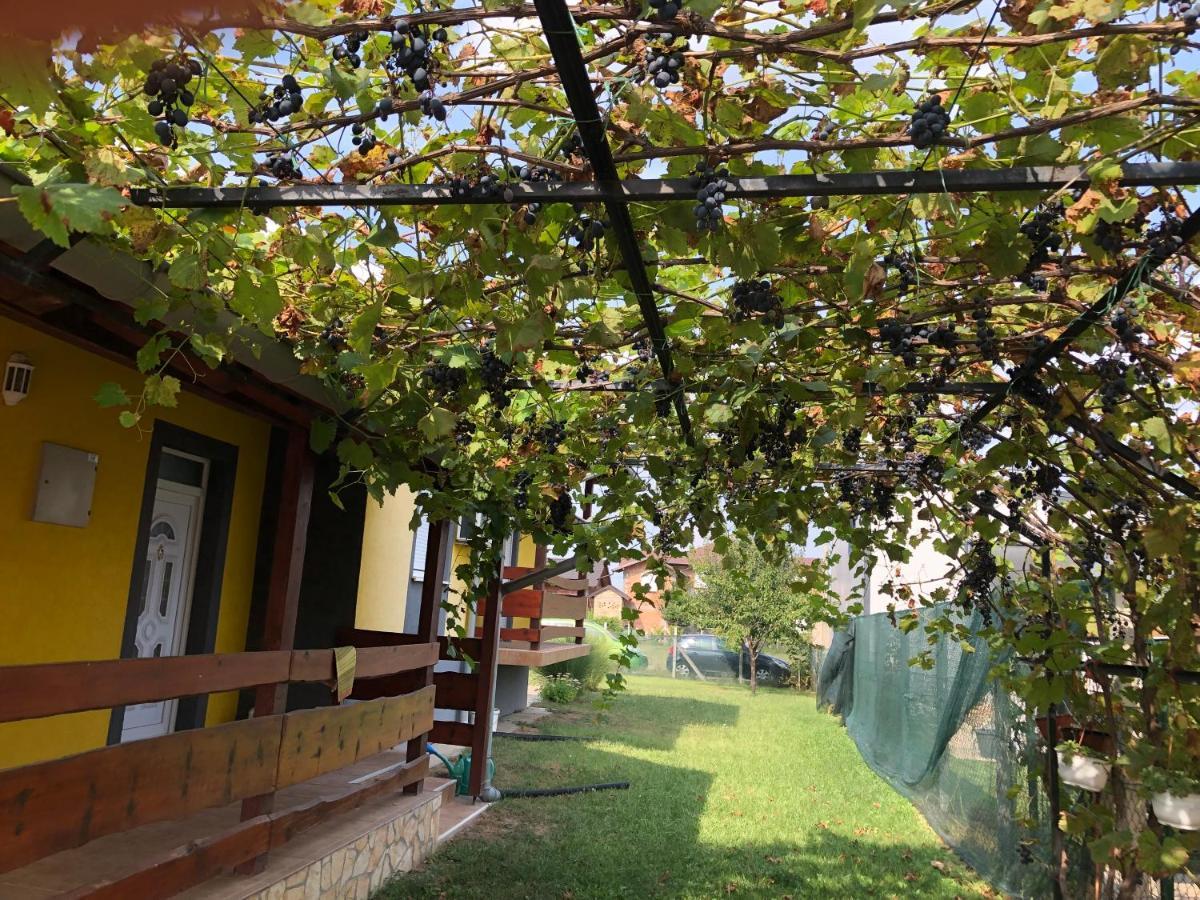 Lux Hus Novi Sad Apartment Veternik Exterior foto