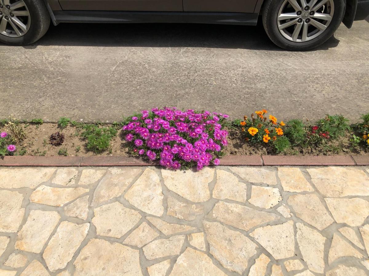 Lux Hus Novi Sad Apartment Veternik Exterior foto